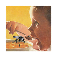 Fly In The Soup