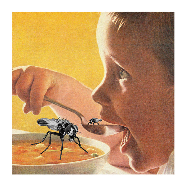 Fly In The Soup