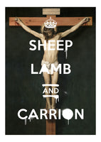 Sheep Lamb & Carrion 1