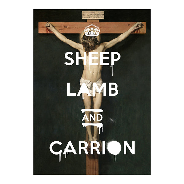 Sheep Lamb & Carrion 1